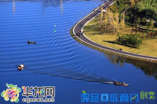 周末去哪儿？ 重庆这130个绿色氧吧免费开放