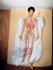 创意家居设计图，胆小胃浅者勿进