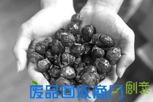 一群学生的灵感,一片被遗忘多年的树林,能否改变一个村庄?