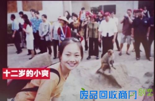 发生了什么？郑爽竟放言退出娱乐圈