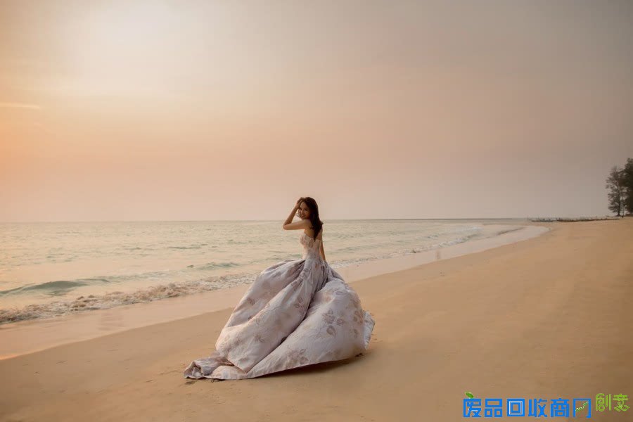 秦昊伊能静婚纱照曝光 唯美浪漫幸福满溢