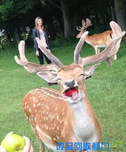 搞笑图片：妹子你的铁菊功练得出神入化啊