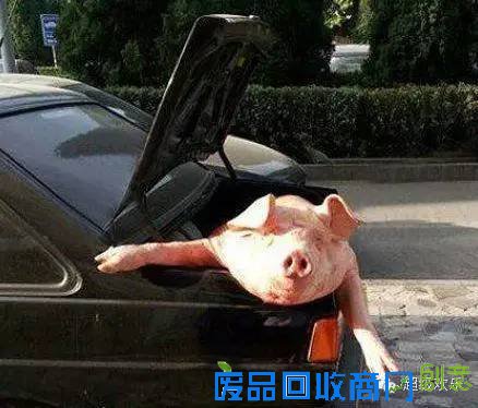 搞笑图片：妹子你的铁菊功练得出神入化啊