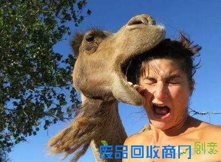 搞笑图片：妹子你的铁菊功练得出神入化啊