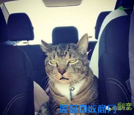 搞笑图片：妹子你的铁菊功练得出神入化啊