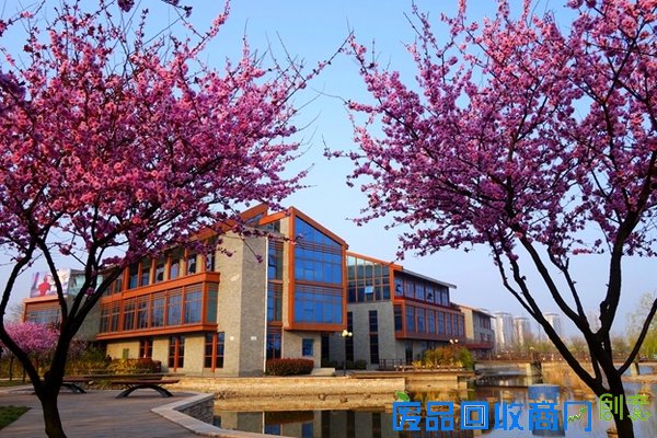 春花百媚舞春风【赏花】