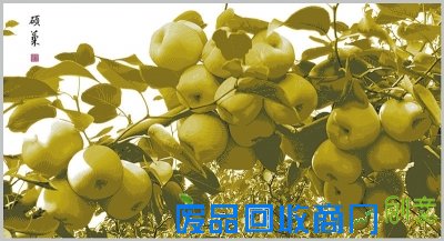 照片?油画?不!这其实是剪纸