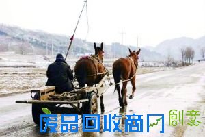 马年来了，十二生肖之一的“马”随之一夜走红。从邮票到贺卡，从剪纸到挂历，从报刊到网络，再到平常人家，“马”真是无所不在；马的形象，马的精神，马的传说，统统被渲染到极致。