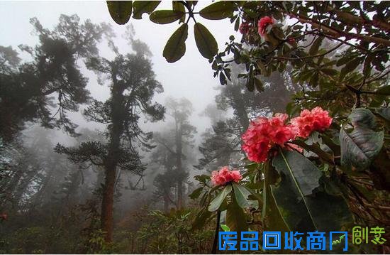 摄影师拍别样印度:远离喧嚣的小清新 宁静清幽