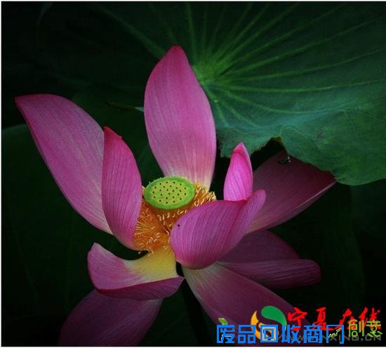 摄影老炮儿告诉你 什么是过时的拍摄手法