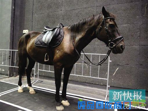 倾城盛事 到广州大剧院看最惊艳的《卡门》