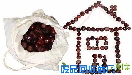 豆子可以这样玩，超有创意惊呆了！