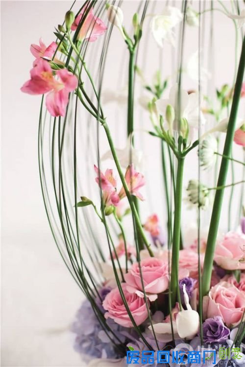 生活与爱 只有一束花的距离