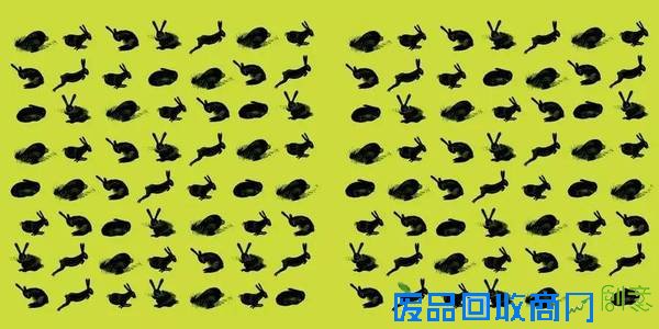 复活节周末，你出去找兔子和彩蛋了吗？