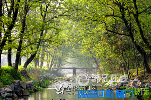 妙招治环境古镇变美镇 ＂国际范＂的澧浦镇成游客心头爱