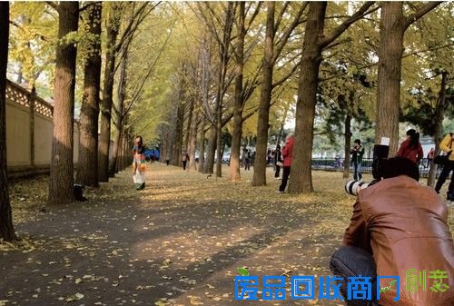 专业摄影师解密如何拍唯美少女人像（下）