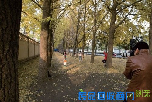 专业摄影师解密如何拍唯美少女人像（下）