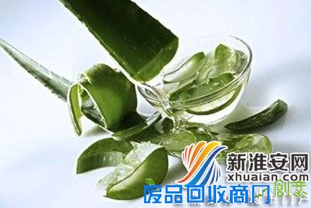 【图】晒后修复方法芦荟胶选择要注意三点nbsp;芦荟功能揭秘