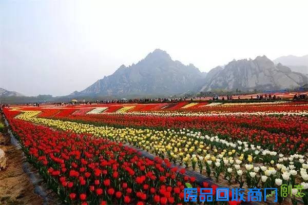 【玩转河南】不到巴厘岛,在河南照样可以拍出美美的婚纱照