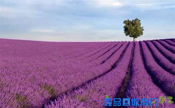 【玩转河南】不到巴厘岛,在河南照样可以拍出美美的婚纱照