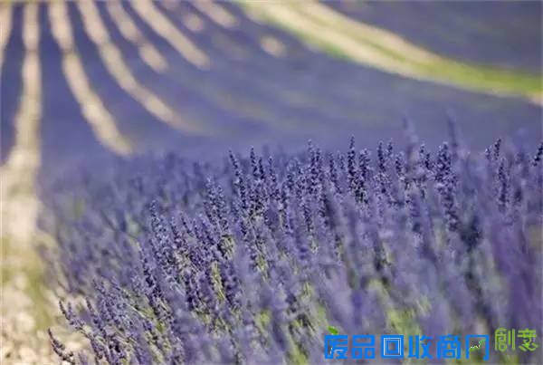 【玩转河南】不到巴厘岛,在河南照样可以拍出美美的婚纱照