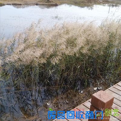 家中缺少这东西小三必定打上门 正西方向有水