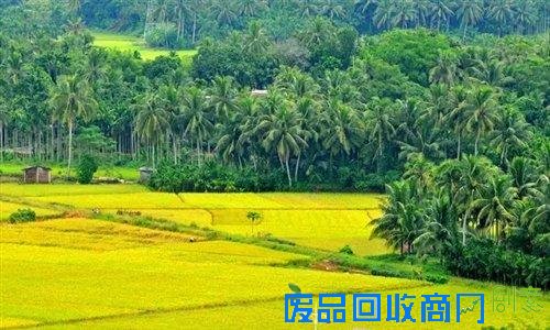 首届琼海田园集市旅游文化节暨琼海全域5A景区品牌发布会邀你来参加!