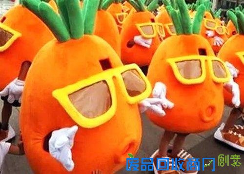 首届琼海田园集市旅游文化节暨琼海全域5A景区品牌发布会邀你来参加!