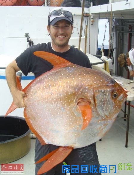 资料图片:韦格纳与捕获的月鱼。