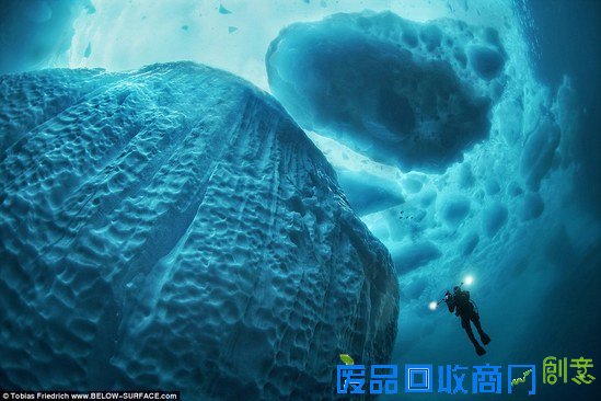 英国举行2016年水下摄影展 作品惊艳