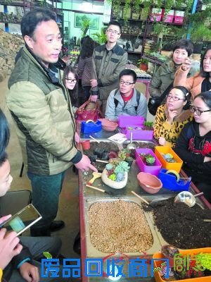 花石语园艺李总为大家传授多肉植物拼盆经验。