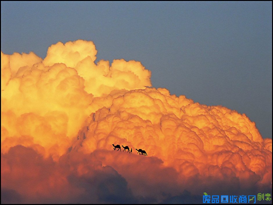 趣味创意摄影《在云上》