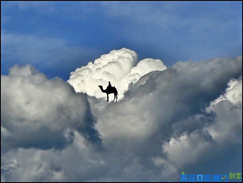 趣味创意摄影《在云上》