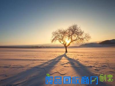 你是一棵什么品种的树