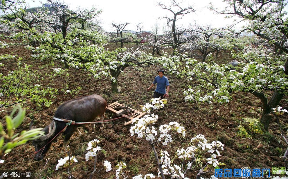 人间四月天 踏春好时节