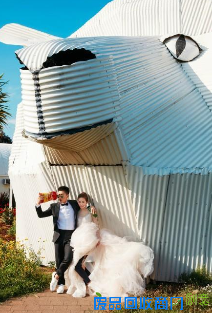 刘诗诗婚纱照曝光 姿态亲密画面唯美甜蜜