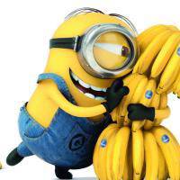 【小黄人头像】卑鄙的我小黄人头像图片动漫头像