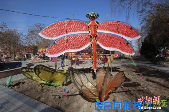 重庆“羊明星”游街迎新年