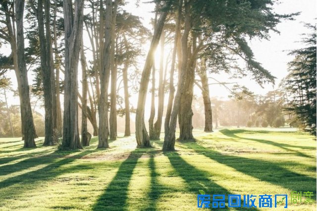 美图摄影：一路旅行，一路摄影！人民快报网