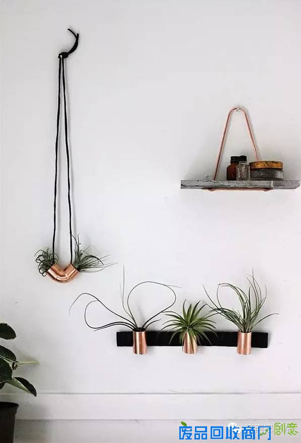 【手工DIY】别再买花瓶了，教你不花一分钱做盆栽！