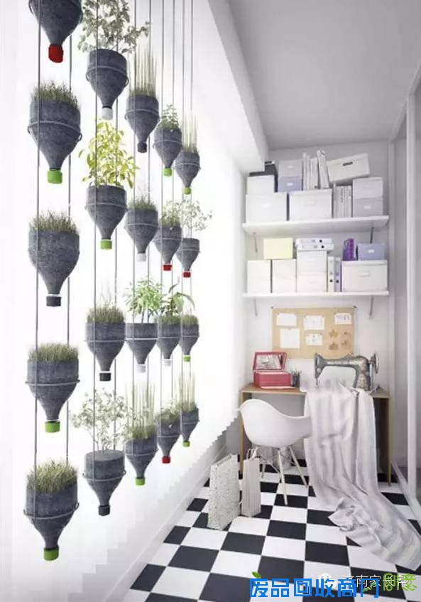 【手工DIY】别再买花瓶了，教你不花一分钱做盆栽！