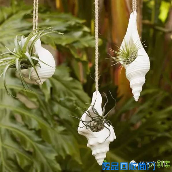 【手工DIY】别再买花瓶了，教你不花一分钱做盆栽！