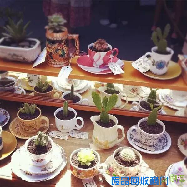 【手工DIY】别再买花瓶了，教你不花一分钱做盆栽！