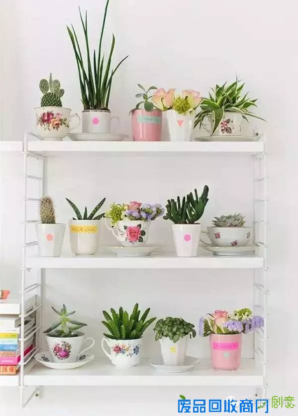 【手工DIY】别再买花瓶了，教你不花一分钱做盆栽！