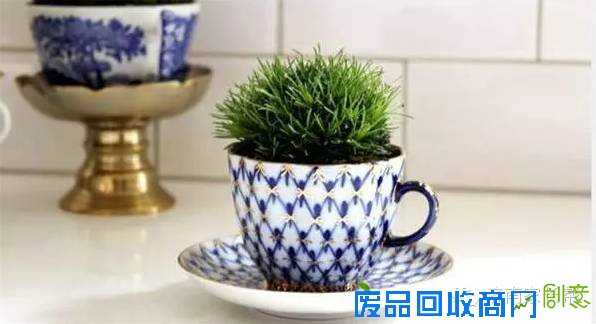 【手工DIY】别再买花瓶了，教你不花一分钱做盆栽！