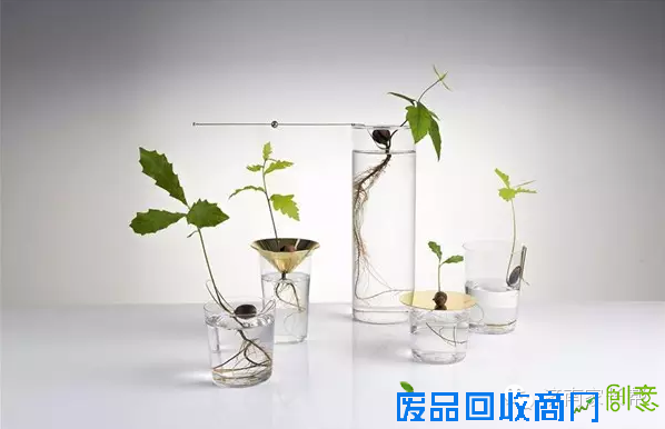 【手工DIY】别再买花瓶了，教你不花一分钱做盆栽！