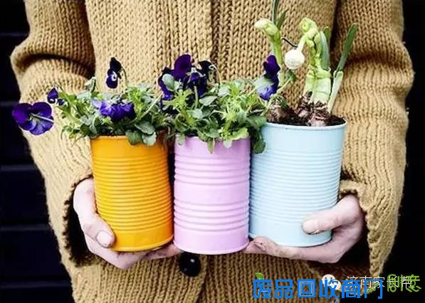 【手工DIY】别再买花瓶了，教你不花一分钱做盆栽！