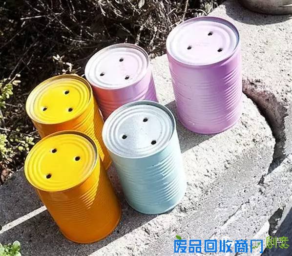 【手工DIY】别再买花瓶了，教你不花一分钱做盆栽！