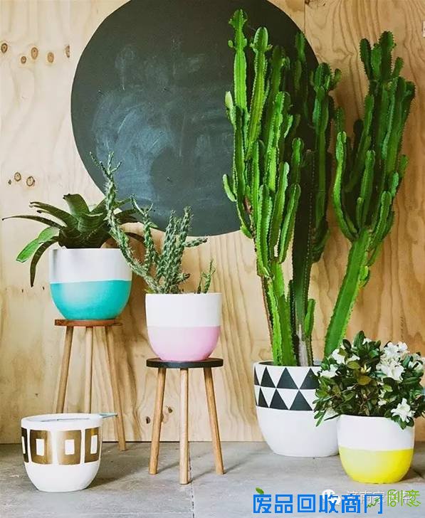 【手工DIY】别再买花瓶了，教你不花一分钱做盆栽！