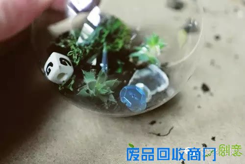 DIY多肉植物装饰小物~少女心泛滥